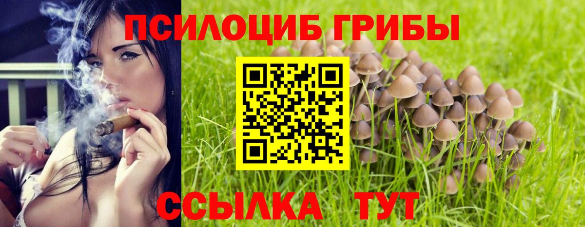 Псилоцибиновые грибы Cubensis Пугачёв
