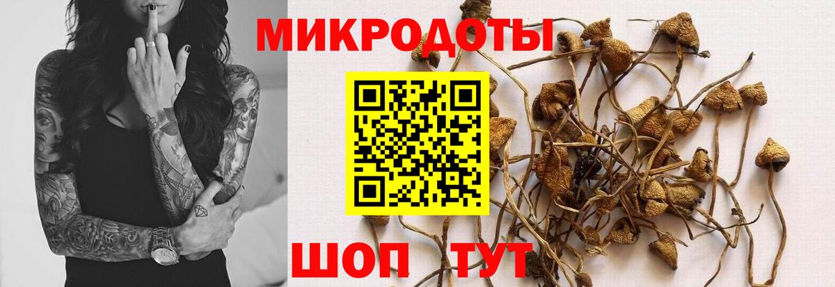 Пугачёв  Галлюциногенные грибы Psilocybine cubensis  Вход с VPN  Галлюциногенные грибы MAGIC MUSHROOMS 